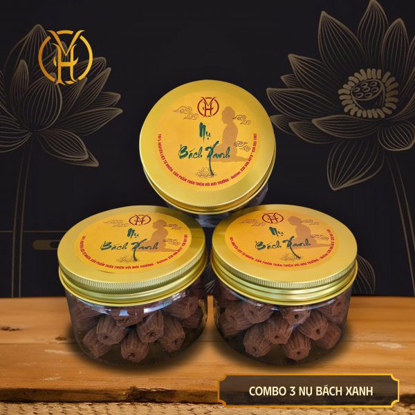 Hương Trầm Bách Xanh Nụ Sạch (36 Nụ) - Cháy 35 Phút | Trầm Hương Việt VH